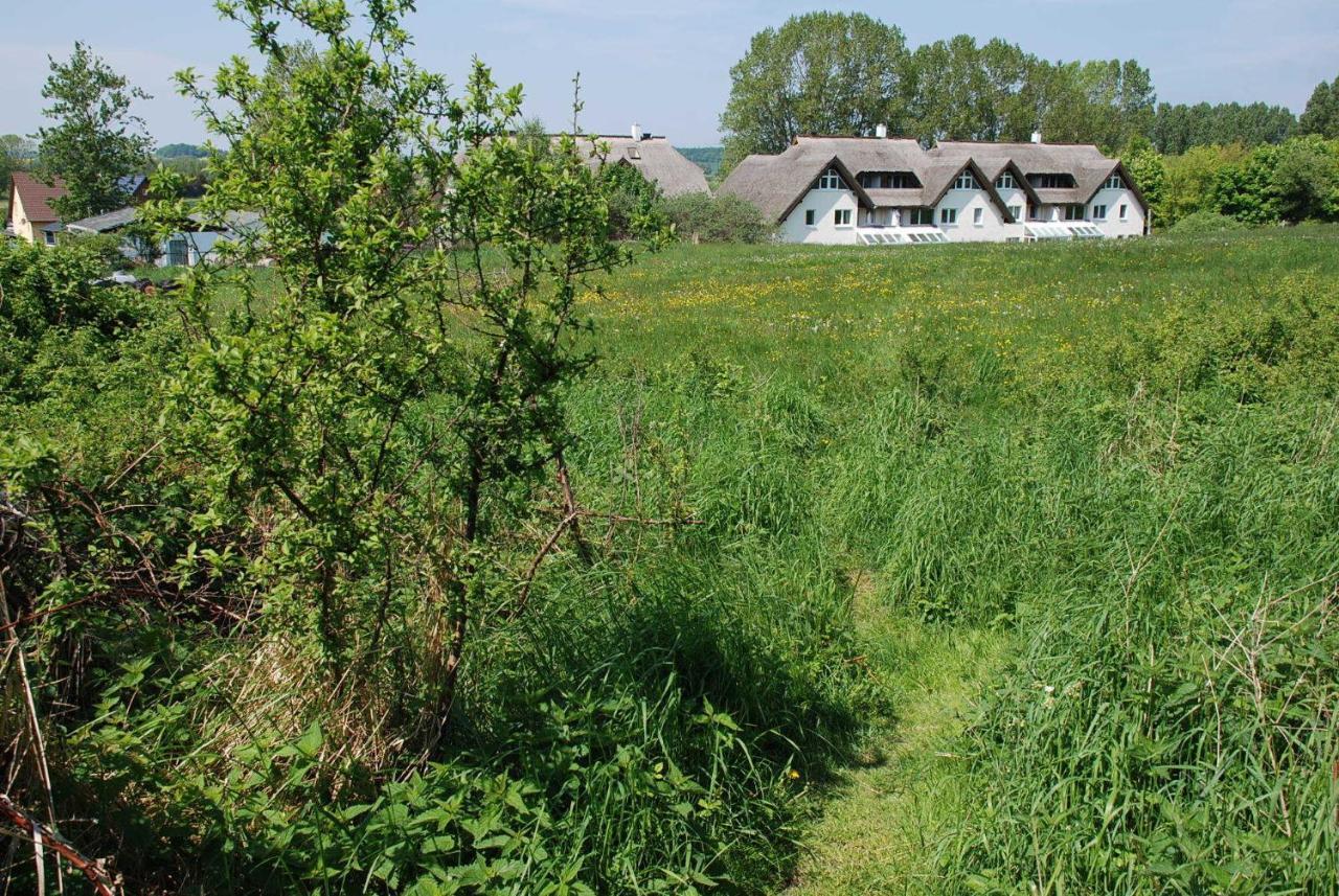 Strandhaus Lobbe - Fewo 45499 Exteriör bild
